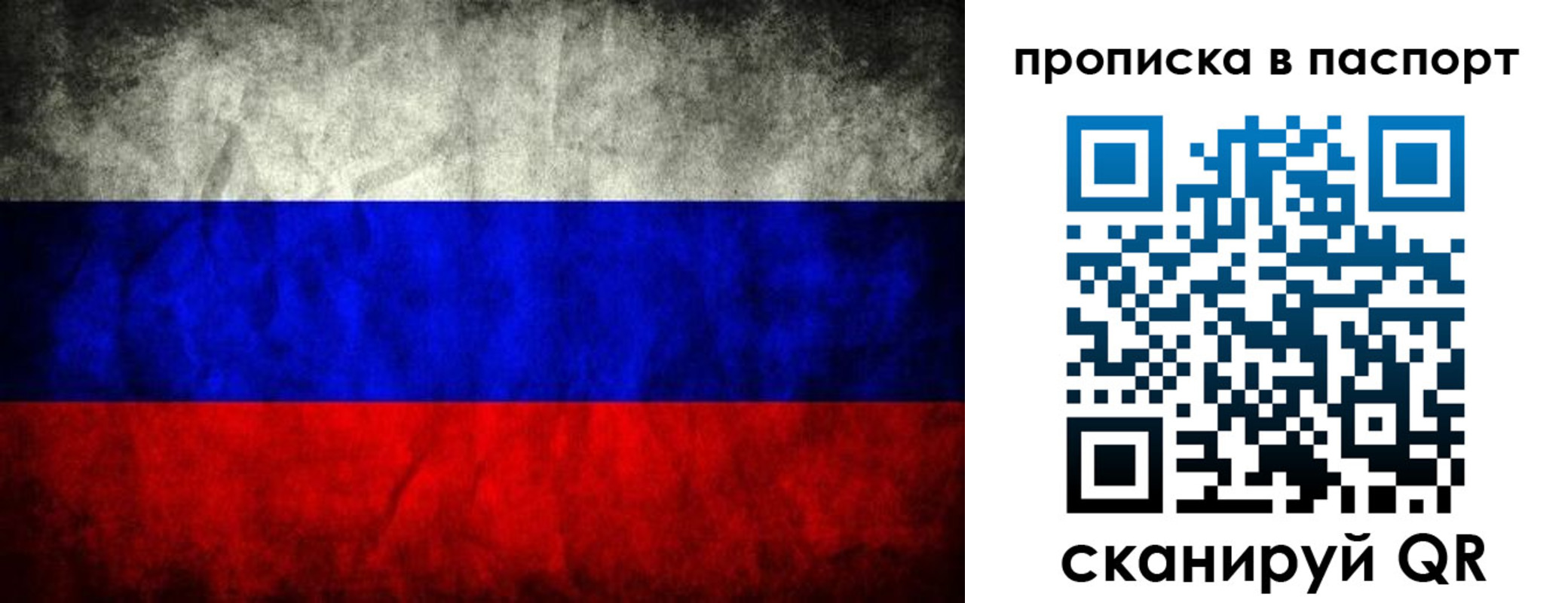 прописка поиск в Дмитрове