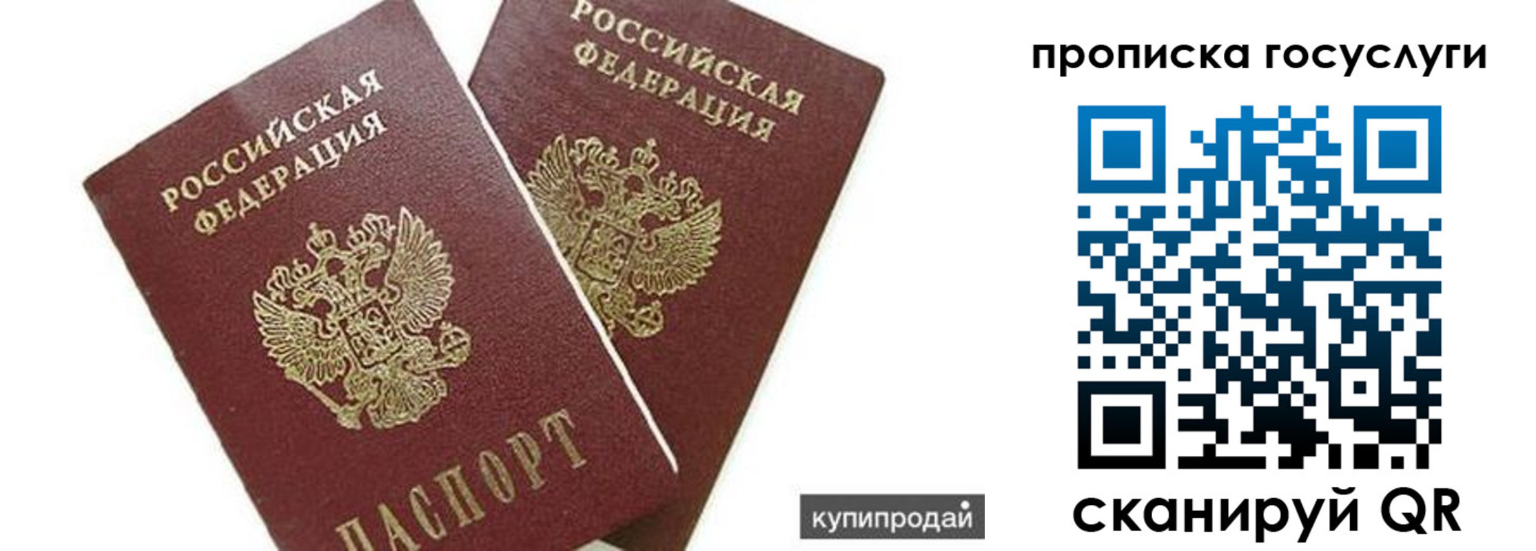 прописка штамп в Дмитрове