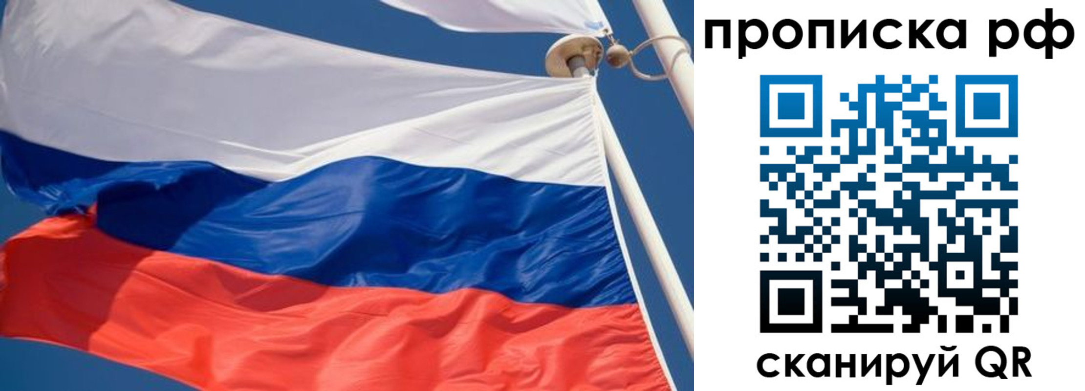 прописка гарантия в Дмитрове